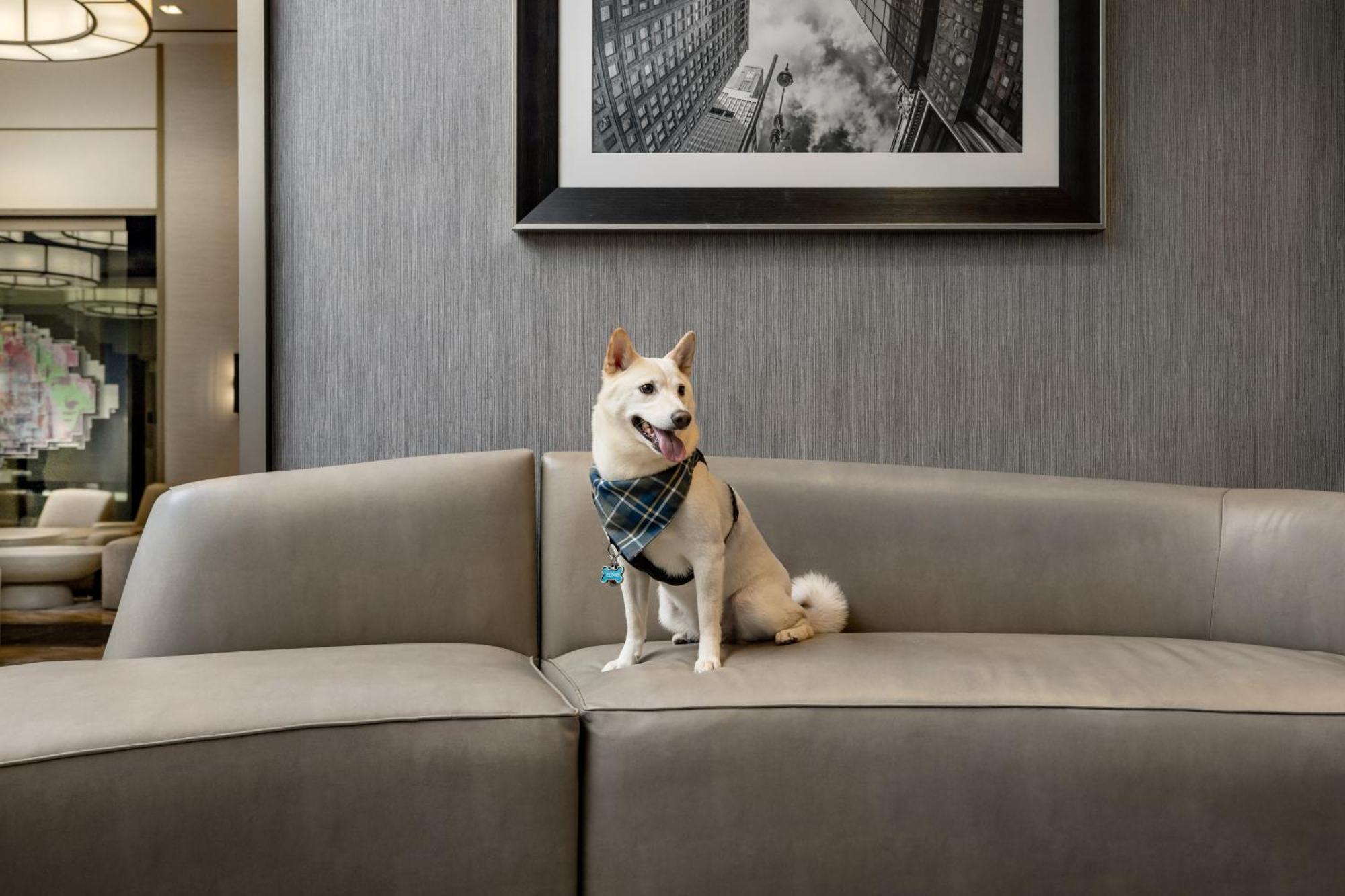 The Muse Hotel 4*